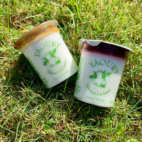 Yaourt brassé 125 g (lait écrémé)