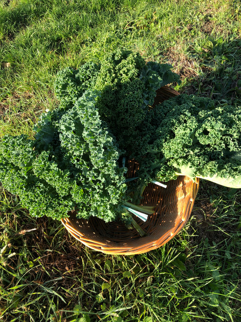 Chips de chou kale