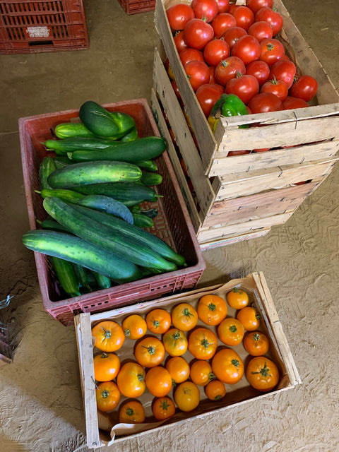 Et nos légumes invendus alors ?