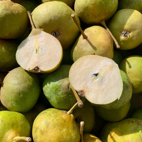 Poire de Coq