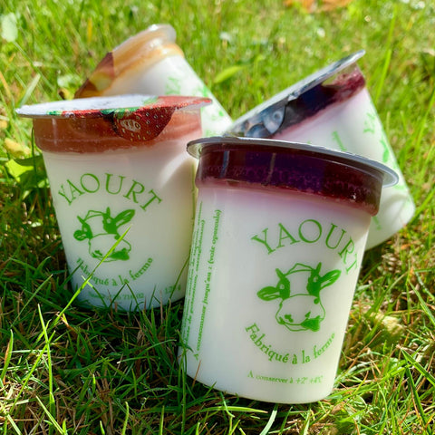 Yaourt brassé 125 g (lait écrémé)