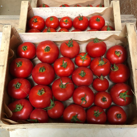 Plateau de tomate ronde
