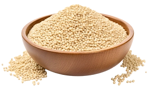 Quinoa du Pays de Caux