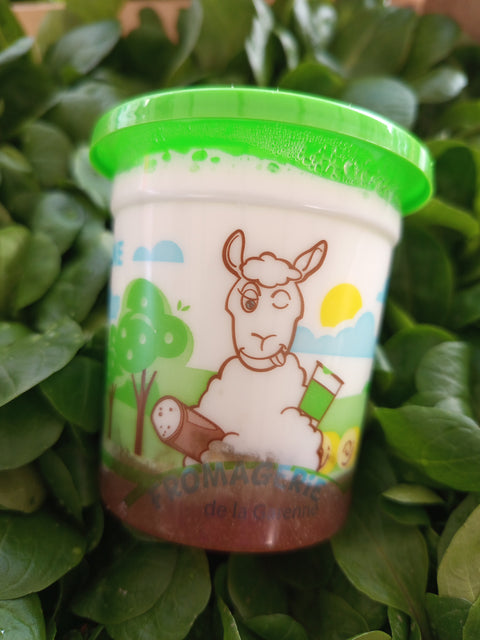 Yaourt de brebis aux fruits