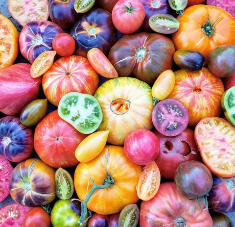 Les Tomates saveurs