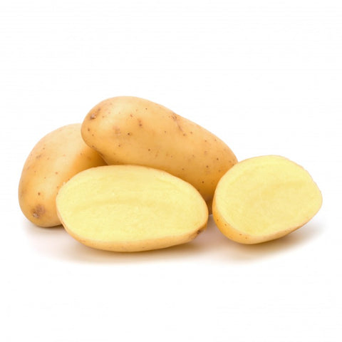 Pomme de terre "Charlotte"